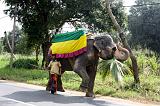 Sri Lanka Mimmo - 710